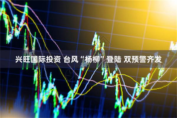 兴旺国际投资 台风“杨柳”登陆 双预警齐发