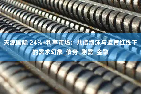 天源国际 24%+利率市场：共债泡沫与监管红线下的需求幻象_债务_刚需_金融
