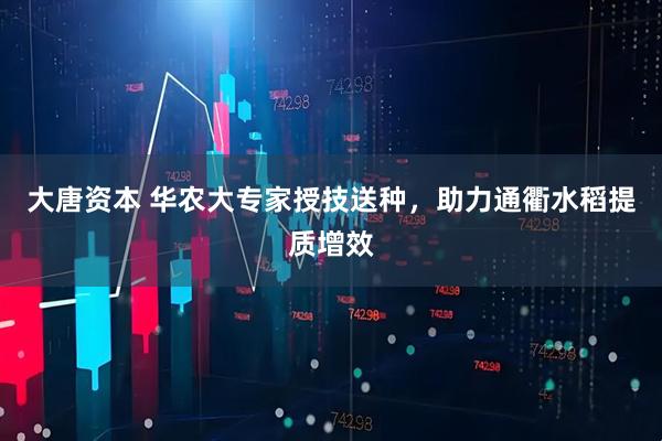 大唐资本 华农大专家授技送种，助力通衢水稻提质增效