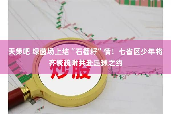 天策吧 绿茵场上结“石榴籽”情！七省区少年将齐聚疏附共赴足球之约